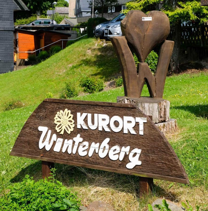 Staycozy Bike&Ski Apartments, Barrierefrei, Free Wifi, Erdgeschoss Winterberg Exterior photo